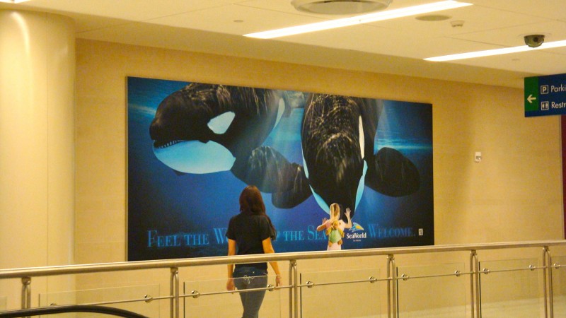 Project by Brilliant Graphics