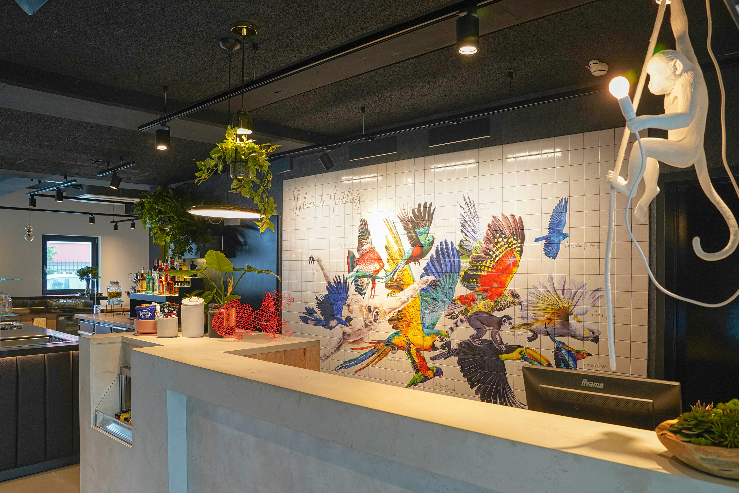Project by Lang + Lang